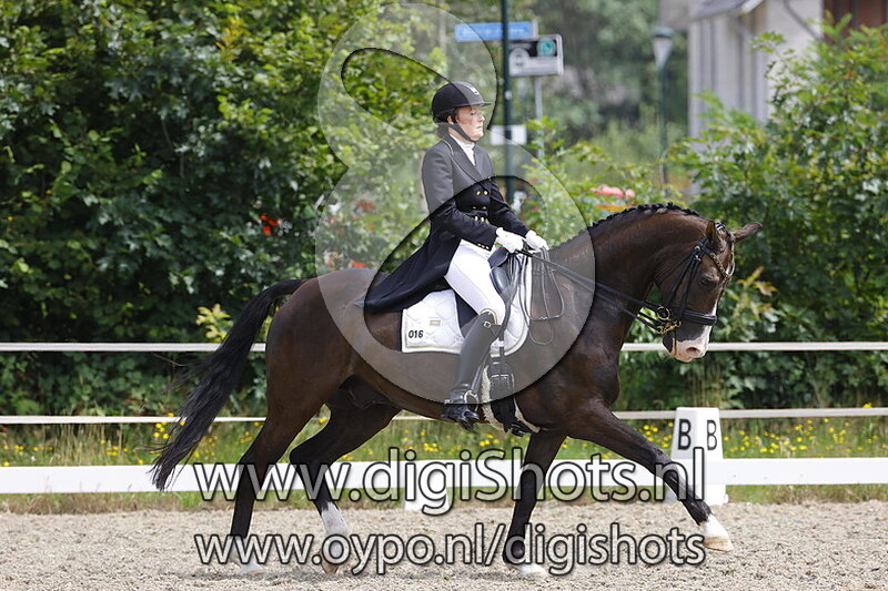 Hippo's Eternity Elaya