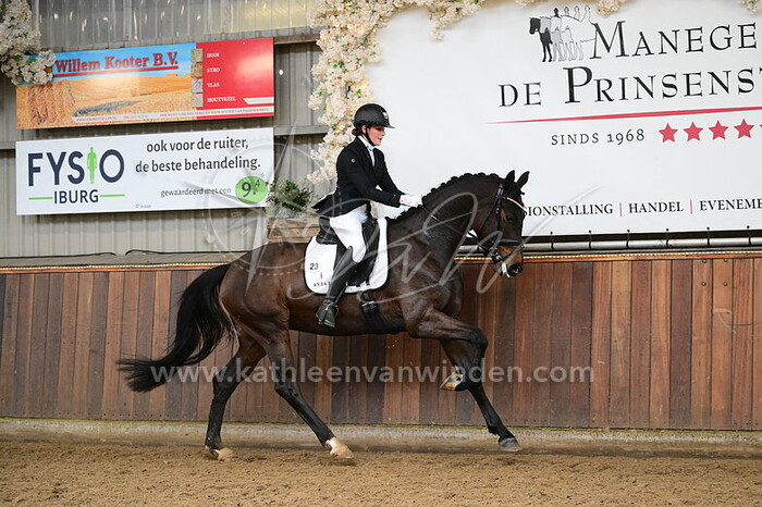 Noa Prijs - Dalma Fyntra Ballante