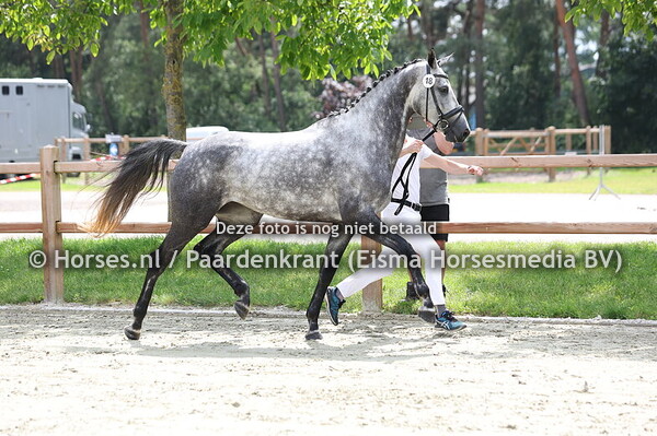 18 Olaya RDS(Totilas x Zakaiyah v. Jazz) (1)