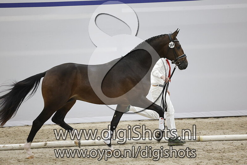 Pofarde van den Herkenhoek v. Furst Toto - 364