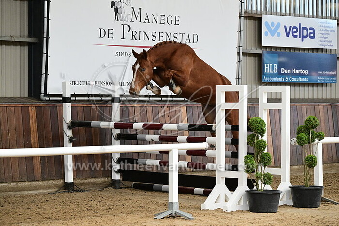 Sebastiaan van Polderzicht - nr. 9