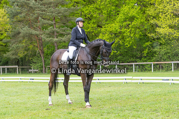 Prov dress dag Heusden 25