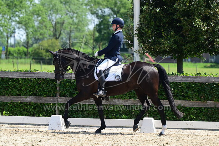 Floris Mak van Waay - Narcos