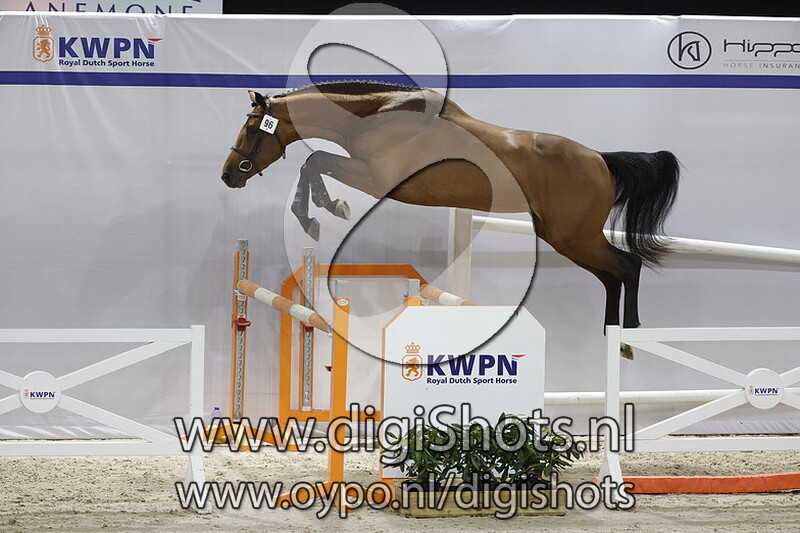 Otis v. Grandorado TN