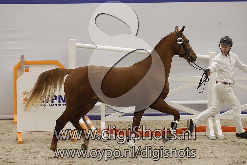 Rotan v. Floris - 605