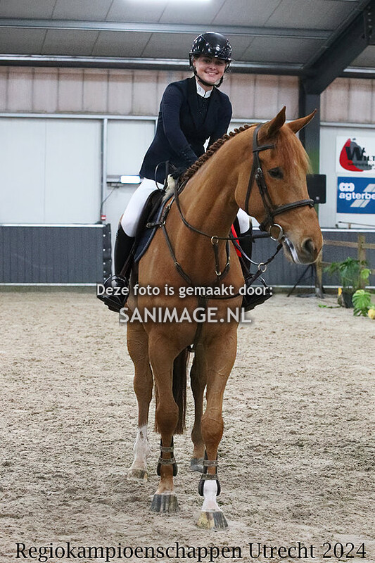KNHS Regiokampioenschappen Utrecht 11-02-2024 Paarden Rijstijl 100 cm