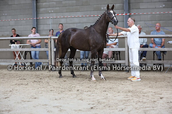 39 Serene SWpring ESS (Bon Coeur x Hot Spring v.Charmeur)