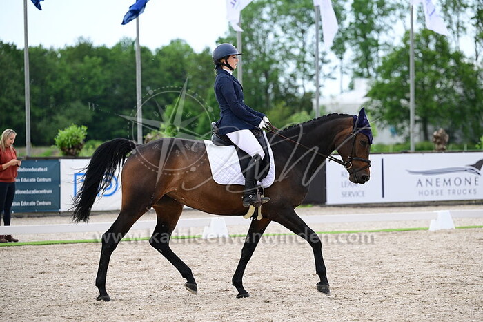 Faye Lambley - New-Essa du Monden