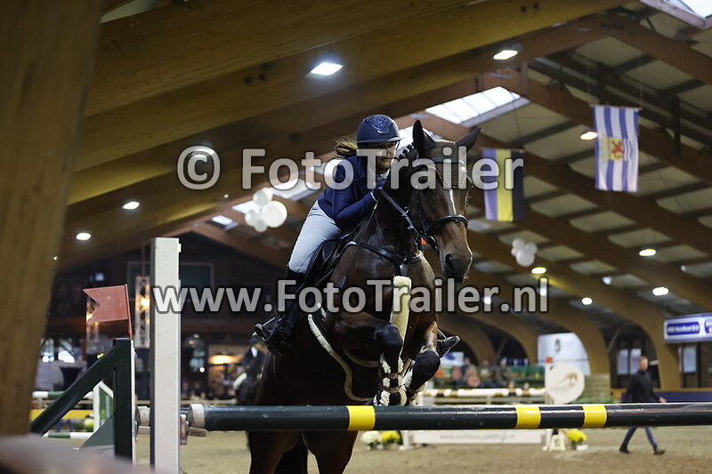 michelle cartenstadt