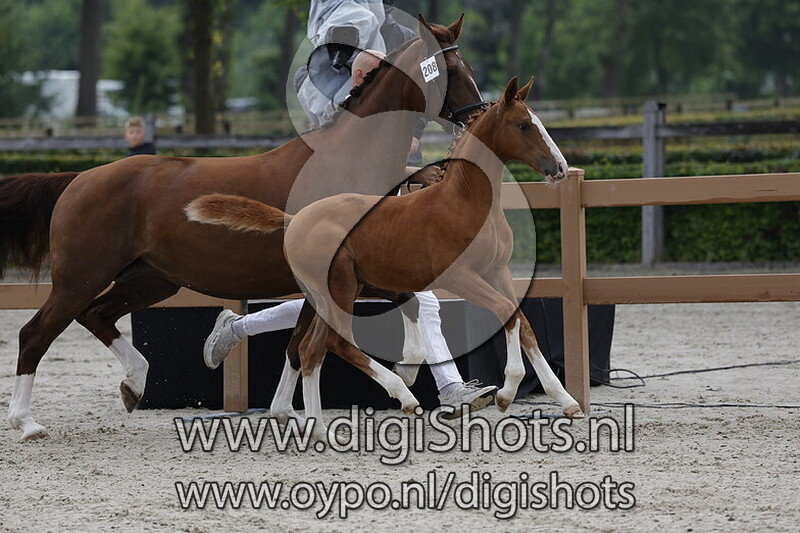 Victory Roepnaam Vicky