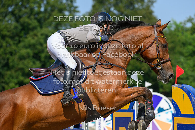 4 Paarden Klasse 120cm