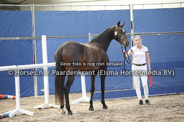 33 Olivewood Tarpania