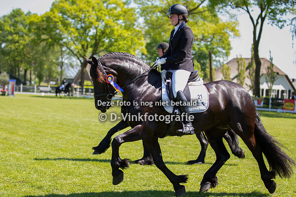 06. Bestgaand rijpaard groep 2