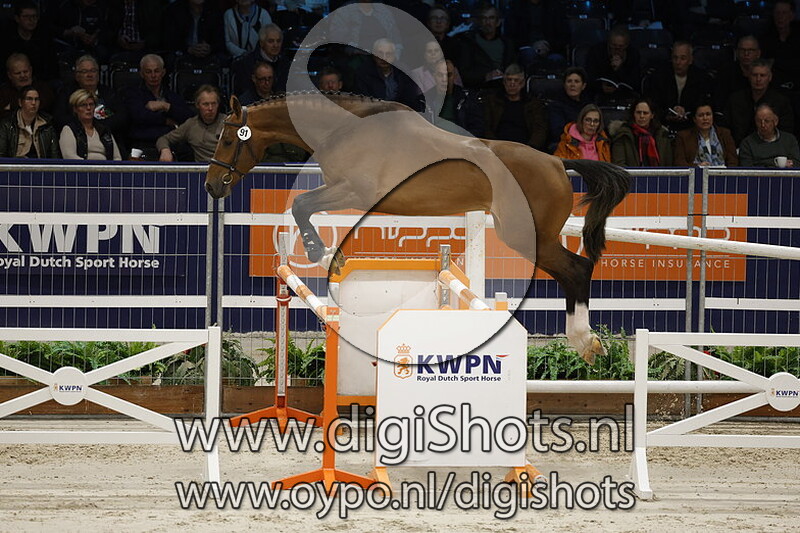 Romario v. Kitt Sb - 091