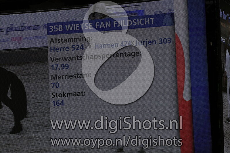 Wietse fan Fjildsicht