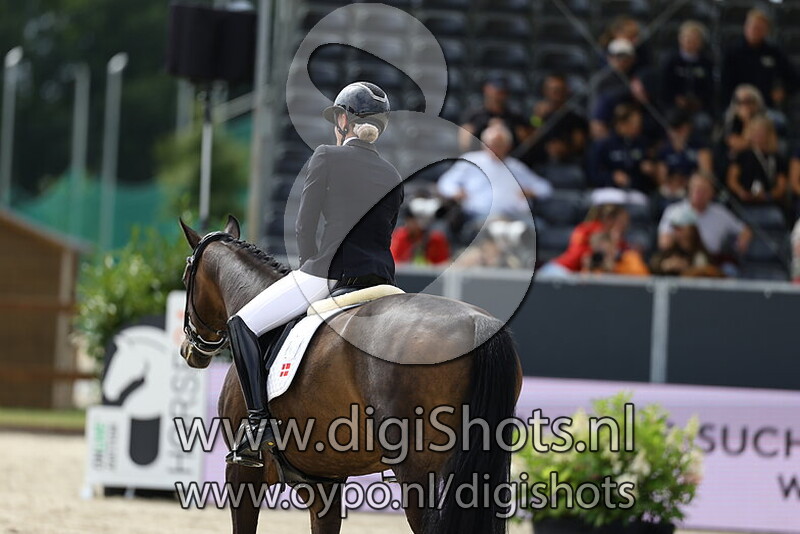 Straight Horse Sun King