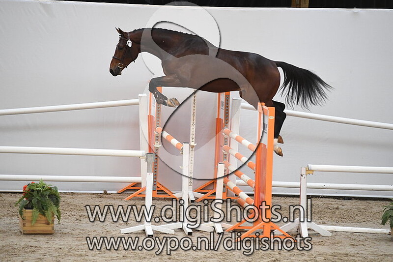 Macadam v. Jaguar Mail