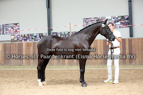 57 Nespresso (Desperado x Kenjira v. Electron)