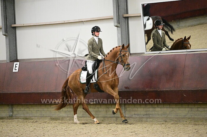 Manouk Steenwijk - Superiority