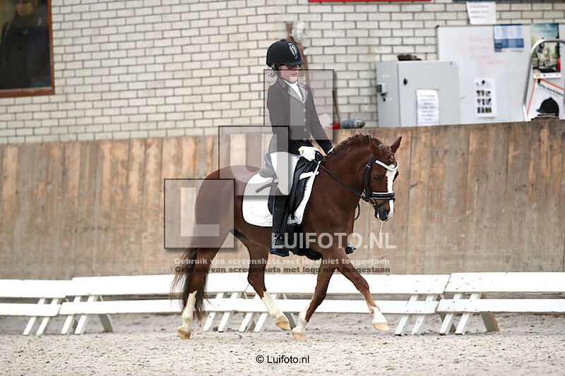 Regiokampioenschappen Pony's dressuur