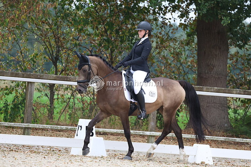 000_HAAKSBERGEN_PONYCONCOURS_31AUG2025