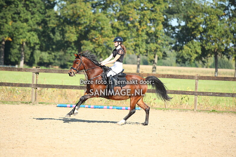 Manege Groenewoude 28-09-2025 Springen Pony's 80 cm