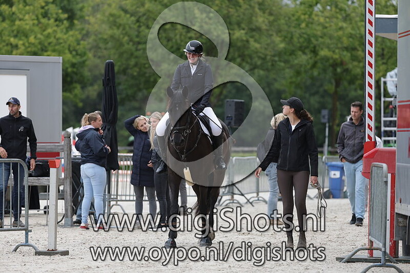 Paarden 0.80 cm 1e ronde