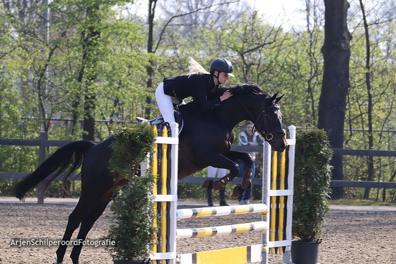 Hippisch Nieuwleusen BB 