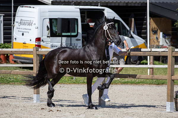 46. Tessa van Stal Schaefer