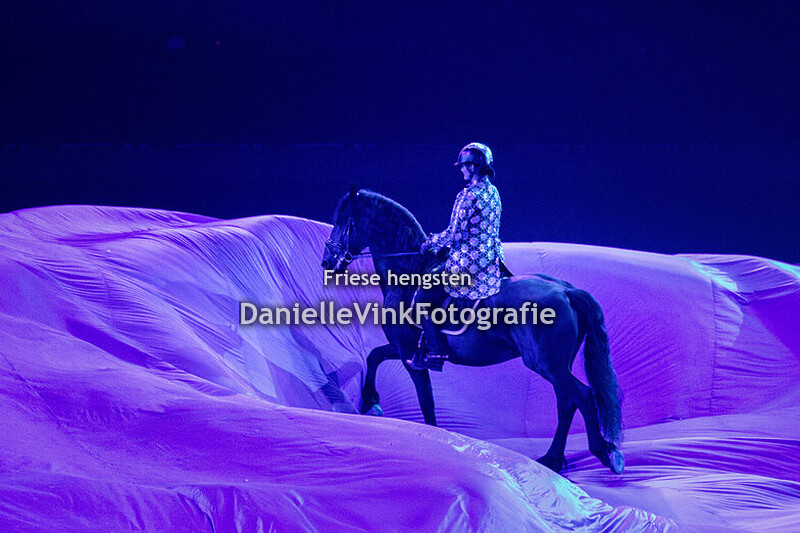 Faderpaard 10-01-2025