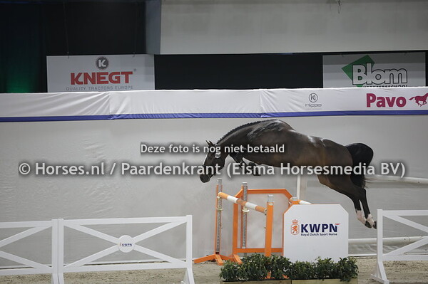 164 Sirocco Optimus (Nixon van't Meulenhof x Anita du Park v. Quick Star)