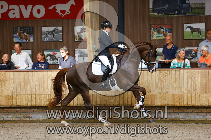 Miami Turfhorst v. Glocks Toto Jr