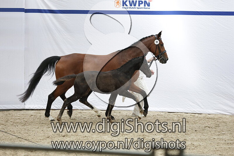 Victor v. New Pleasure VDL