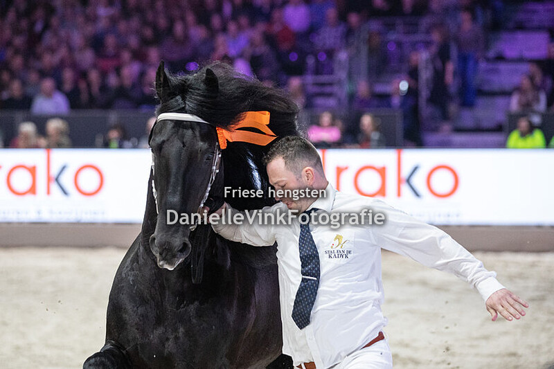 Hengstenkeuring 2025 Murk 540