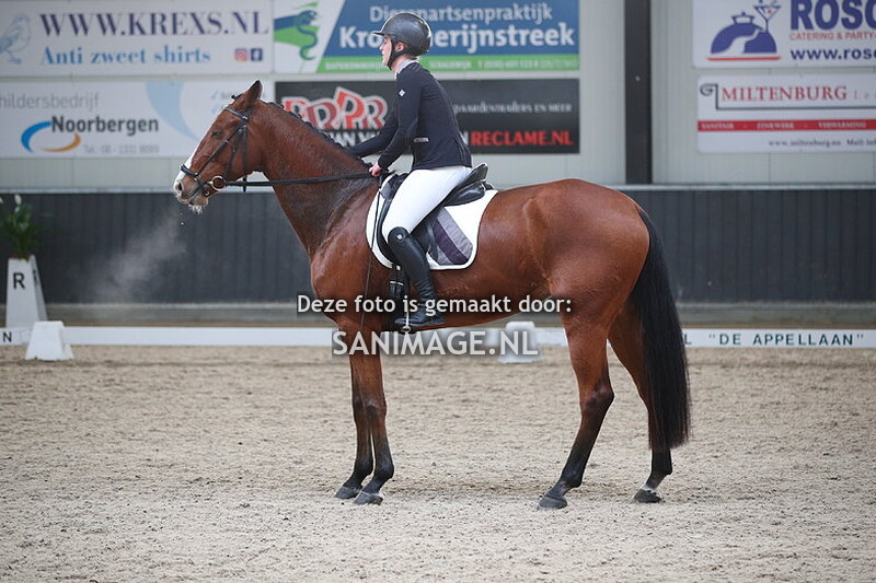 De Voornruiters De Meern Dressuur 25-11-2023 9.00-10.38 uur
