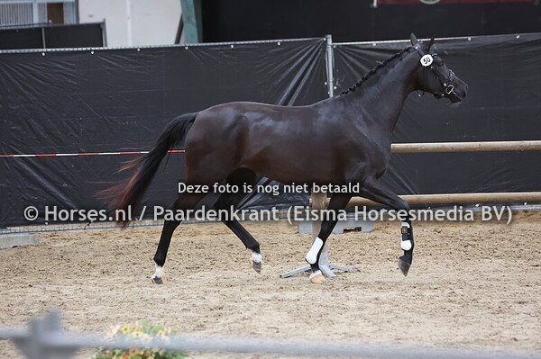 50 Secret's Star   (Secret x Hope of Glory v. Superio)