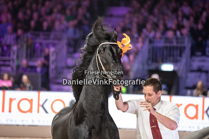 Hengstenkeuring 2025 Jeppe 537