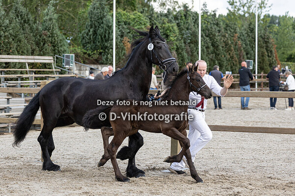 47. Dirk Dasilva fan 't Boagersbosje
