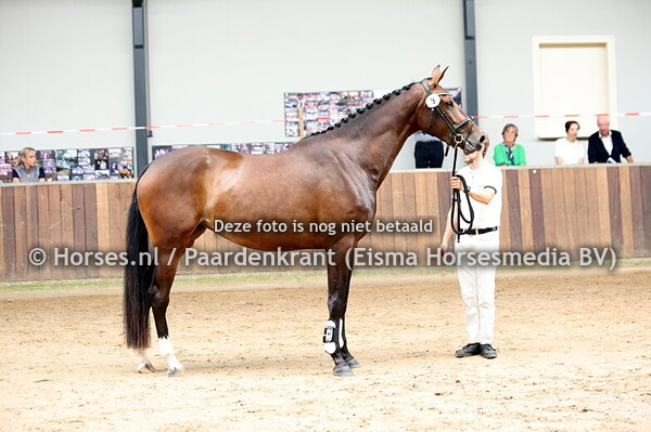 9 Suntory (Jameson RS2 x Habette v. Bretton Woods)