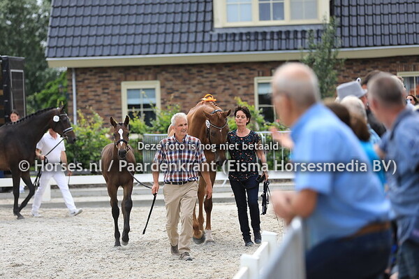 120 Kenia v Desperado