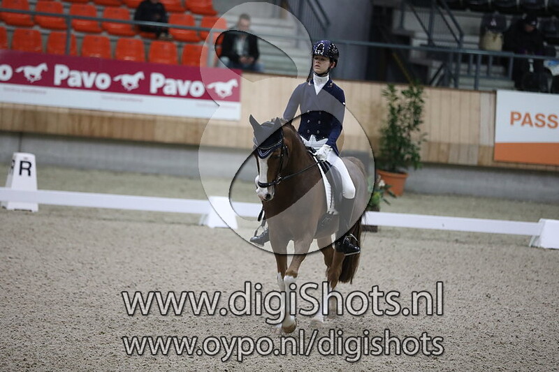 Caine van de Beekerheide