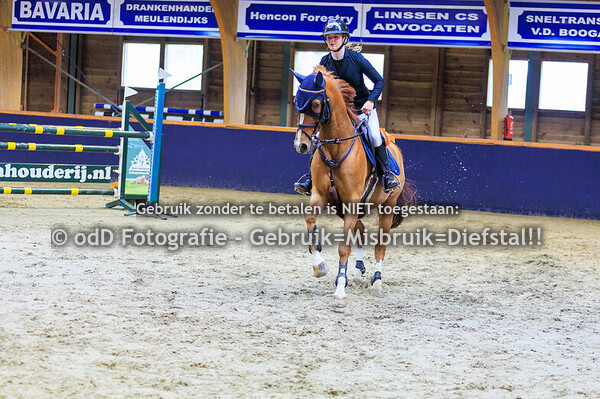 Geldrop Hippique pony 110-120de  11-10-25