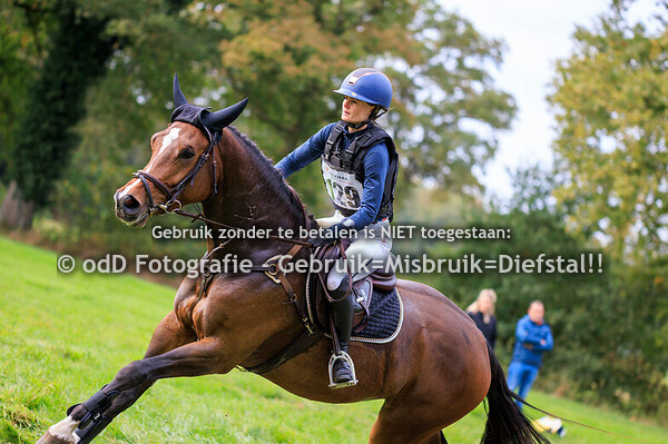 Eventing Diepenheim paarden B 19-10-25