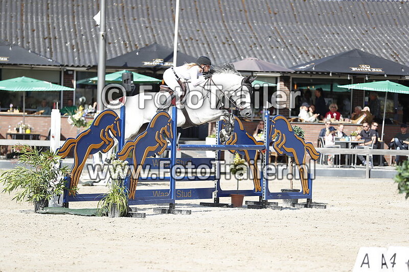 anoek van der pluijm