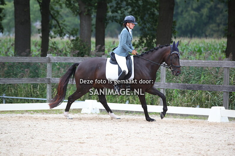 Groenewoude Dressuur 15-09-2024 14.45 - 16.15 uur