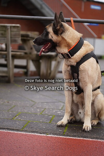 Baggelhuizercross Assen