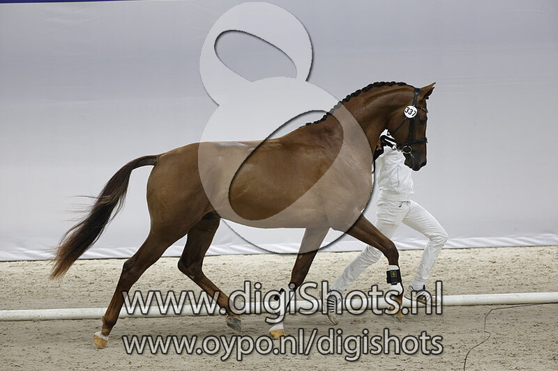 Obsession A v. Dream Boy