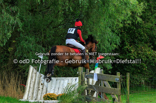 SGW Bollert Gelselaar Paard L Pony M 07-09-24