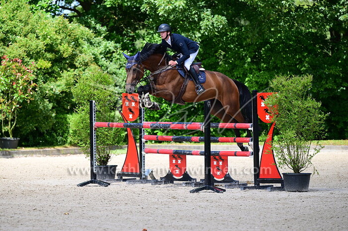 Dries van Dyck - NN 4