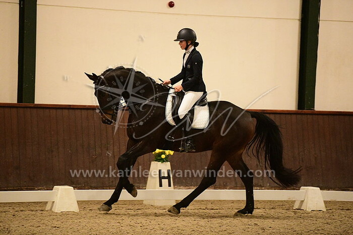 Renske van Gansewinkel